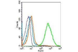 Mouse splenocytes probed with TLR9 Polyclonal Antibody, Unconjugated  at 1:100 for 30 minutes followed by incubation with a conjugated secondary (PE Conjugated) (green) for 30 minutes compared to control cells (blue), secondary only (light blue) and isotype control (orange).