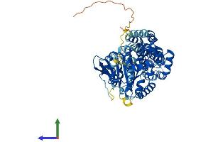 AlphaFold protein structure predicition of Human Recombinant EHD4 Protein, UniprotID Q9H223
