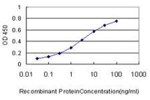 Detection limit for recombinant GST tagged HOXC13 is approximately 0. (HOXC13 anticorps  (AA 132-231))