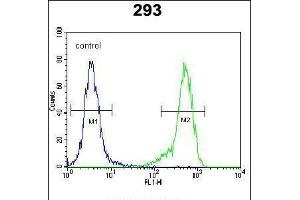 Flow cytometric analysis of 293 cells (right histogram) compared to a negative control cell (left histogram).