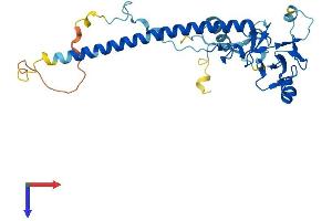 AlphaFold protein structure predicition of Human Recombinant NOSIP Protein, UniprotID Q9Y314