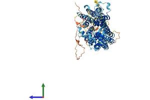 AlphaFold protein structure predicition of Mouse Recombinant Slco4c1 Protein, UniprotID Q8BGD4
