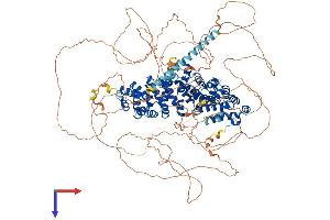 AlphaFold protein structure predicition of Mouse Recombinant Pkp4 Protein, UniprotID Q68FH0