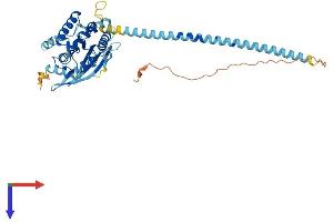 AlphaFold protein structure predicition of Mouse Recombinant Septin10 Protein, UniprotID Q8C650