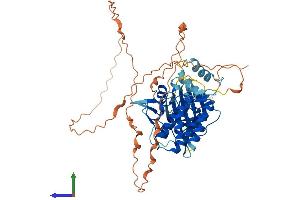 AlphaFold protein structure predicition of Human Recombinant STK35 Protein, UniprotID Q8TDR2