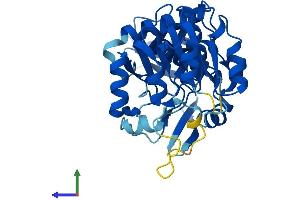 AlphaFold protein structure predicition of Human Recombinant CRYZL1 Protein, UniprotID O95825