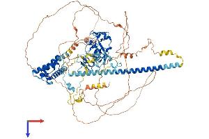 AlphaFold protein structure predicition of Mouse Recombinant Jade1 Protein, UniprotID Q6ZPI0