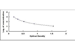 Typical standard curve (beta Endorphin Kit ELISA)