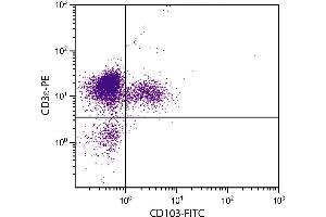 CD-1 mouse mesenteric lymph node cells were stained with Hamster Anti-Mouse CD103-FITC.