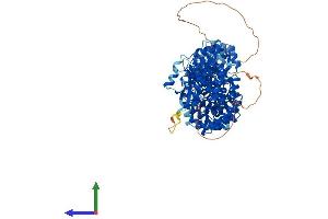 AlphaFold protein structure predicition of Human Recombinant ARMC3 Protein, UniprotID Q5W041