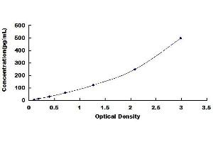 Typical standard curve
