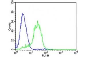 Flow cytometric analysis of HepG2 cells using DLK1 antibody (green) compared to an isotype control (blue).