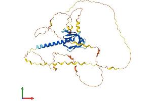 AlphaFold protein structure predicition of Mouse Recombinant Phlda1 Protein, UniprotID Q62392