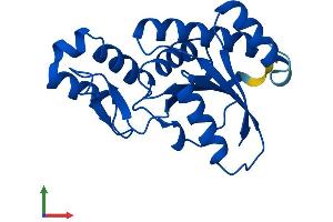 AlphaFold protein structure predicition of Human Recombinant SSU72 Protein, UniprotID Q9NP77