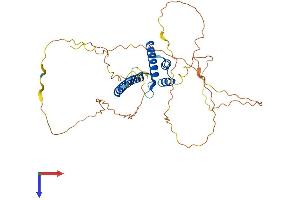 AlphaFold protein structure predicition of Mouse Recombinant Neurod2 Protein, UniprotID Q62414