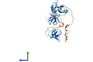 AlphaFold protein structure predicition of Mouse Recombinant Grap2 Protein, UniprotID O89100