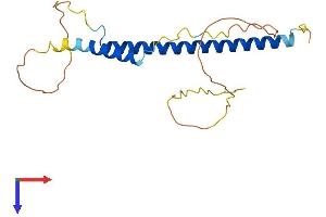 AlphaFold protein structure predicition of Human Recombinant AKIRIN2 Protein, UniprotID Q53H80