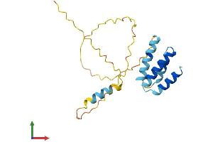 AlphaFold protein structure predicition of Human Recombinant CT45A9 Protein, UniprotID P0DMV2 (CT45A9 (AA 1-189) protein (His tag))
