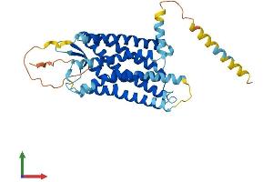 AlphaFold protein structure predicition of Human Recombinant SSTR2 Protein, UniprotID P30874