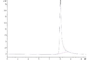 The purity of Human IL-20 is greater than 95 % as determined by SEC-HPLC.