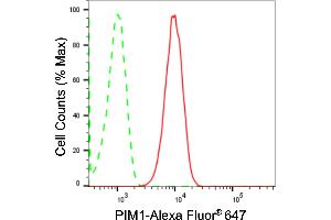 Flow cytometric analysis of PIM1 expression in HT- cells using PIM1 antibody (ABIN7799837), 1:2,000). (Recombinant PIM1 anticorps)