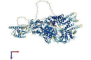 AlphaFold protein structure predicition of Mouse Recombinant Samd9l Protein, UniprotID Q69Z37