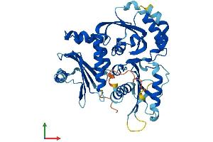 AlphaFold protein structure predicition of Human Recombinant FUZ Protein, UniprotID Q9BT04