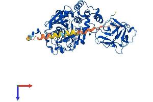 AlphaFold protein structure predicition of Human Recombinant GALNT12 Protein, UniprotID Q8IXK2