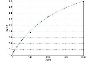 Tenascin C (TNC) ELISA Kit