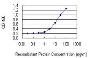 Detection limit for recombinant GST tagged FAM65B is 0. (FAM65B anticorps  (AA 1-591))
