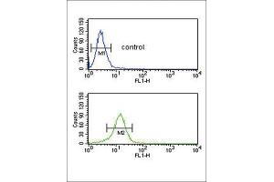 Flow Cytometry (FACS) image for anti-Collagen, Type V, alpha 2 (COL5A2) antibody (ABIN3003163)