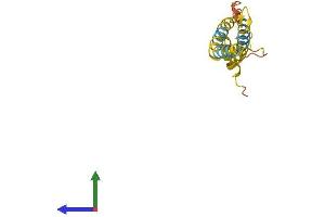 AlphaFold protein structure predicition of Mouse Recombinant Ociad2 Protein, UniprotID Q9D8W7