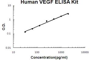 Human VEGF Accusignal ELISA Kit Human VEGF AccuSignal ELISA Kit standard curve. (VEGF Kit ELISA)