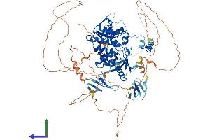 AlphaFold protein structure predicition of Human Recombinant ARHGAP12 Protein, UniprotID Q8IWW6