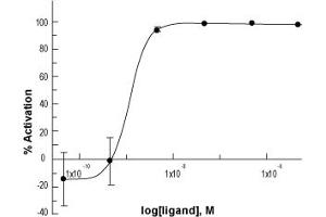 Galanin-Like Peptide (GALP) peptide