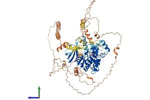 AlphaFold protein structure predicition of Human Recombinant MAPK6 Protein, UniprotID Q16659