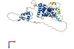 AlphaFold protein structure predicition of Mouse Recombinant Nr2f1 Protein, UniprotID Q60632