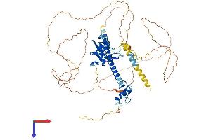 AlphaFold protein structure predicition of Human Recombinant DEAF1 Protein, UniprotID O75398