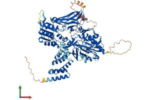 AlphaFold protein structure predicition of Human Recombinant PRMT9 Protein, UniprotID Q6P2P2