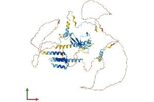AlphaFold protein structure predicition of Human Recombinant CKAP2 Protein, UniprotID Q8WWK9
