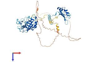 AlphaFold protein structure predicition of Mouse Recombinant Ppil4 Protein, UniprotID Q9CXG3