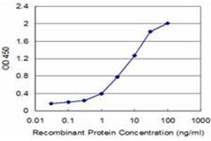 Detection limit for recombinant GST tagged CKMT1B is approximately 0.
