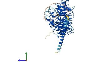 AlphaFold protein structure predicition of Mouse Recombinant Coro1b Protein, UniprotID Q9WUM3