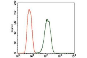Flow Cytometry (FACS) image for anti-phosphodiesterase 1B, Calmodulin-Dependent (PDE1B) (AA 370-536) antibody (ABIN1845414)