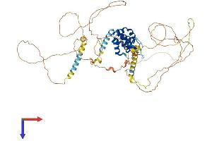 AlphaFold protein structure predicition of Mouse Recombinant Clint1 Protein, UniprotID Q99KN9