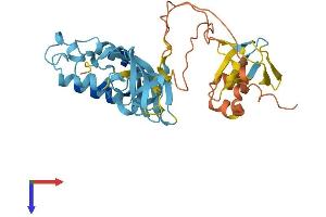 AlphaFold protein structure predicition of Mouse Recombinant Noxo1 Protein, UniprotID Q8VCM2