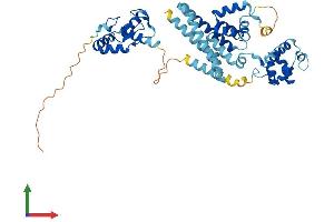 AlphaFold protein structure predicition of Human Recombinant BFAR Protein, UniprotID Q9NZS9