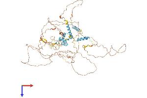 AlphaFold protein structure predicition of Human Recombinant FBXO34 Protein, UniprotID Q9NWN3