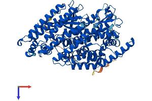 AlphaFold protein structure predicition of Human Recombinant THOP1 Protein, UniprotID P52888