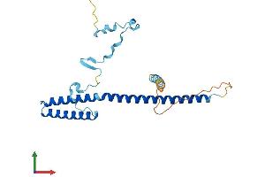 AlphaFold protein structure predicition of Mouse Recombinant Med7 Protein, UniprotID Q9CZB6